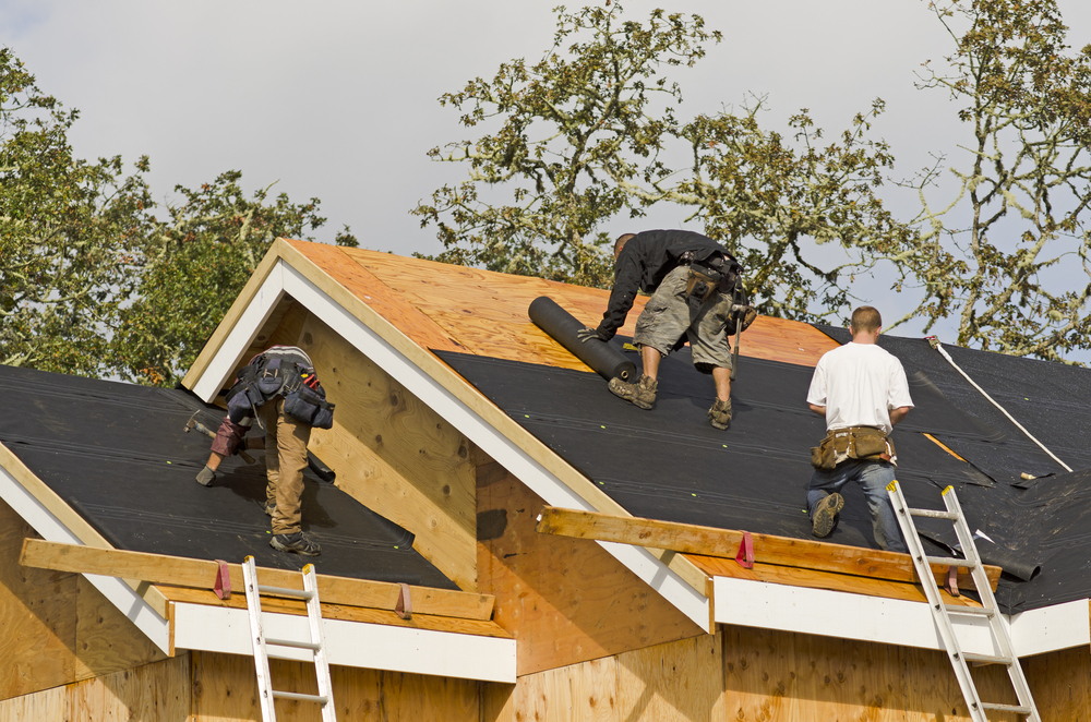 Vinyl Siding