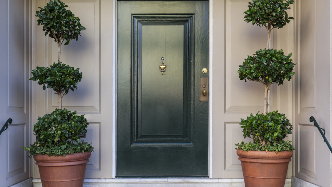 Best Wood for Front Door - Doors Plus