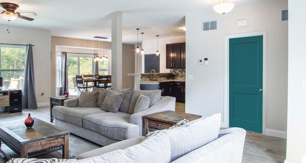 living room with teal door living room with teal door